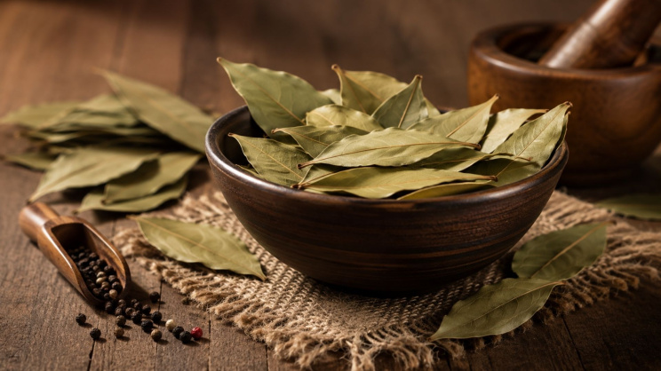 Bayleaf leaves