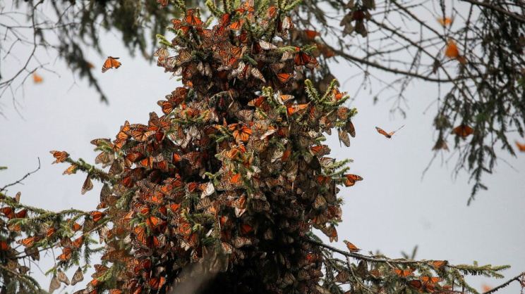ছবি: রয়টার্স