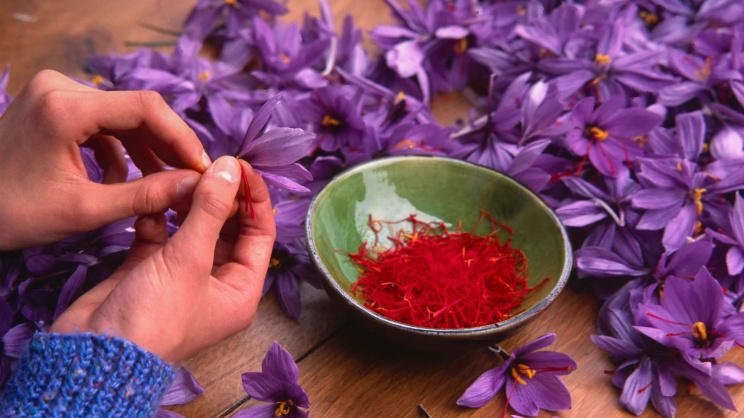Saffron