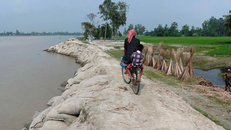 teesta 