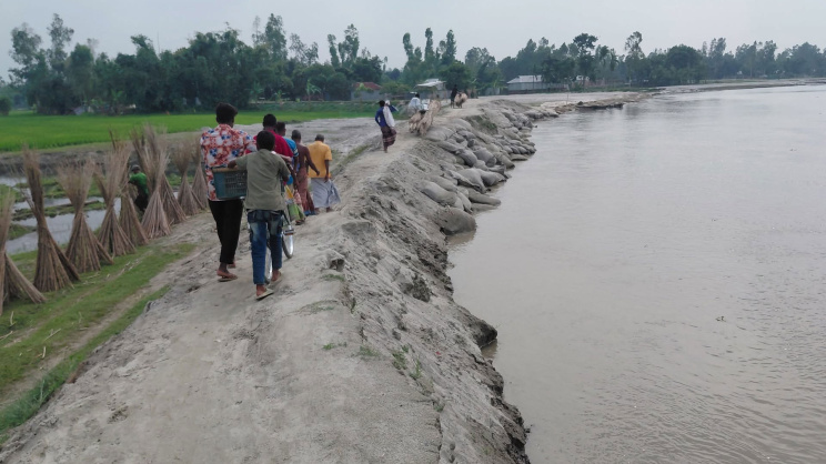 teesta