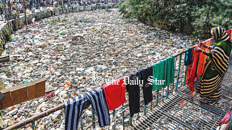 প্লাস্টিক দূষণ