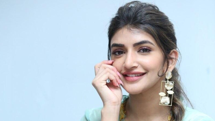 দক্ষিণ ভারতীয় চলচ্চিত্র, শ্রীলীলা, বলিউড, মহেশ বাবু, আল্লু অর্জুন,