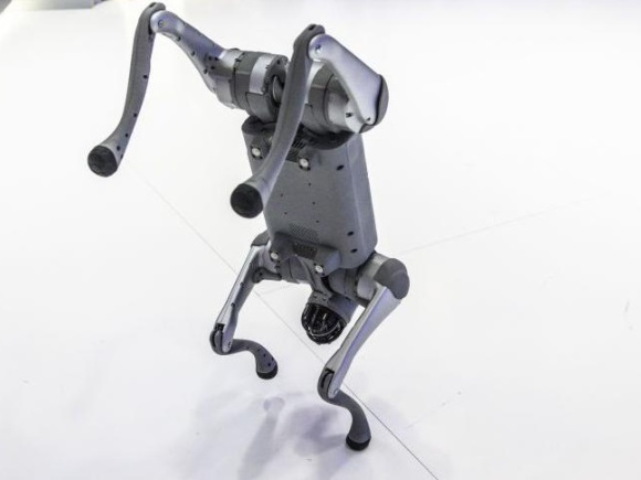 চীনা রোবট কুকুর নিজেদের দাবি করে বিতর্কে ভারতের বিশ্ববিদ্যালয়। ছবি: বিবিসি