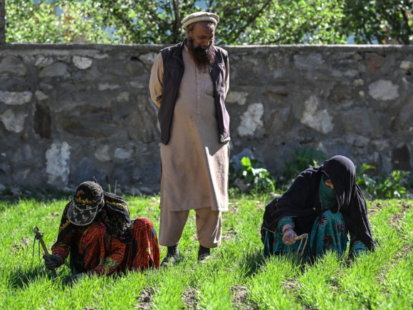 Afghanistan