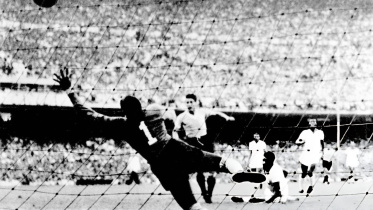 ফিফা বিশ্বকাপ