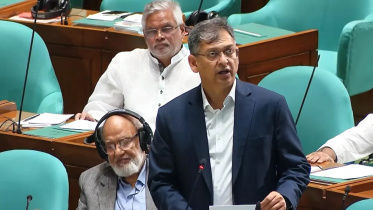  সংসদে বক্তব্য দিচ্ছেন স্বরাষ্ট্রমন্ত্রী সালাহউদ্দিন আহমদ। ছবি: সংগৃহীত