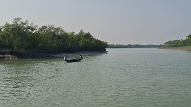 Sundarbans