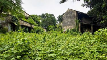 ছবি: স্টার।