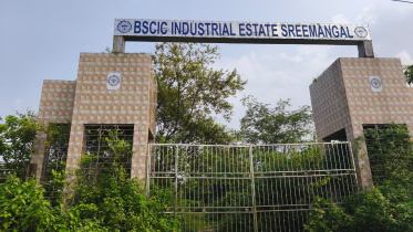 ছবি: স্টার।