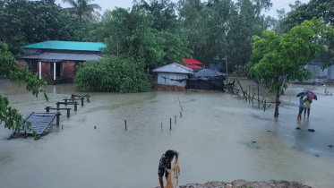 বৃষ্টি
