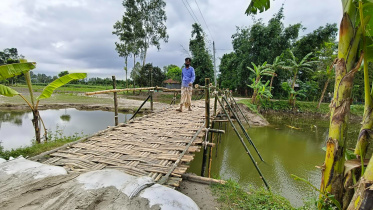 শুক্রবার বিকেল থেকে সাঁকোটি ব্যবহারের জন্য খুলে দেওয়া হয়। ছবি: স্টার