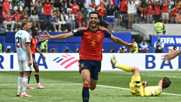 merino
