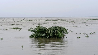 Sirajganj-river-swelling