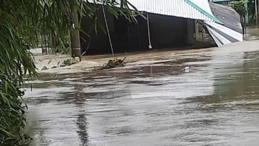 flood 