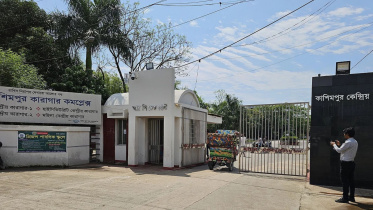 ফাইল ছবি।