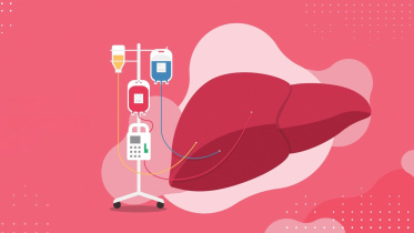 liver 