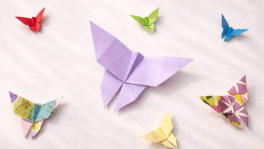 origami-butterfly
