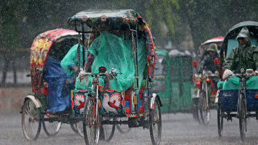 rain