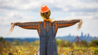 scarecrow