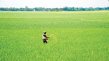 ছবি: স্টার।