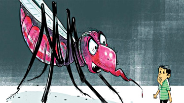 dengue