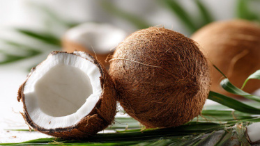 coconut