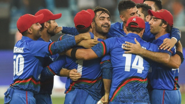 Afganistan Cricket 