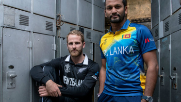 williamson and dimuth