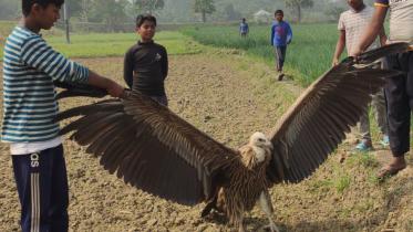 faridpur pic-02.jpg