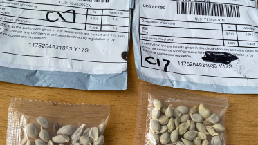 percel from china.jpg