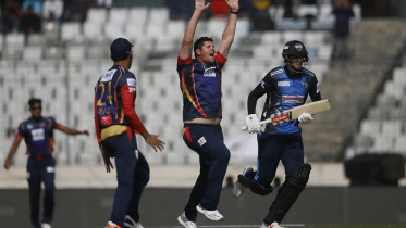 ফ্রাইলিঙ্ক