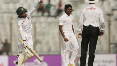 Mominul Haque