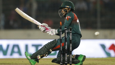 mushfiqur rahim