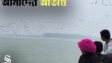 Athiti Pakhi Thumbnail 2