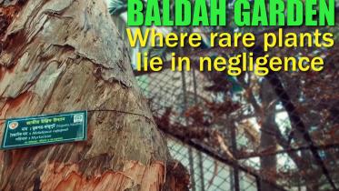 Baldah Garden