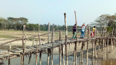bamboobridge.jpg