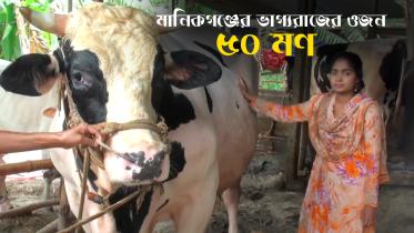 Big Cow_Thumbnil.jpg