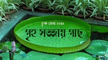 Brikho Mela TN bangla.jpg