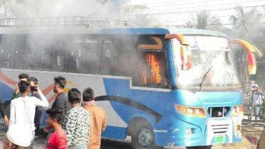 bus.jpg