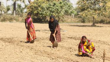 Chapainawabganj.jpg