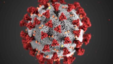 Coronavirus.jpg