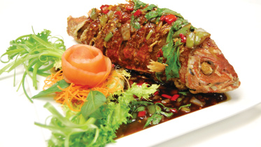 Crazy-Red-snapper