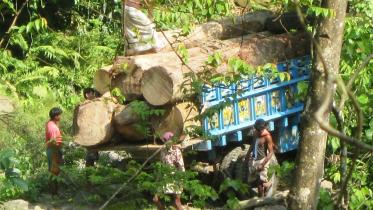 Deforestation in remote Bandarban.jpg