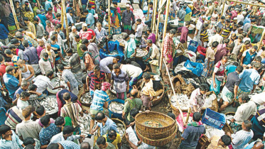 fish_fanatics_day_out