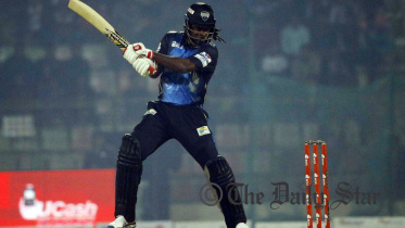 gayle.jpg