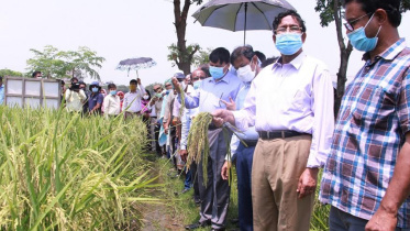 gazipur.jpg