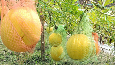 Kurigram college students-01.jpg