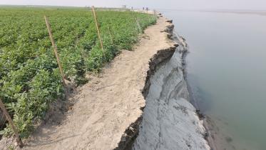 Lalmonirhat_Tista_9Jan21.jpg