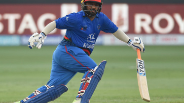 mohammad shahzad
